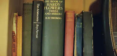 A row of vintage books on a shelf